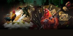 Chinh Phục Sảnh Đá Gà GA28 GD365 Với Bí Kíp Từ Chuyên Gia