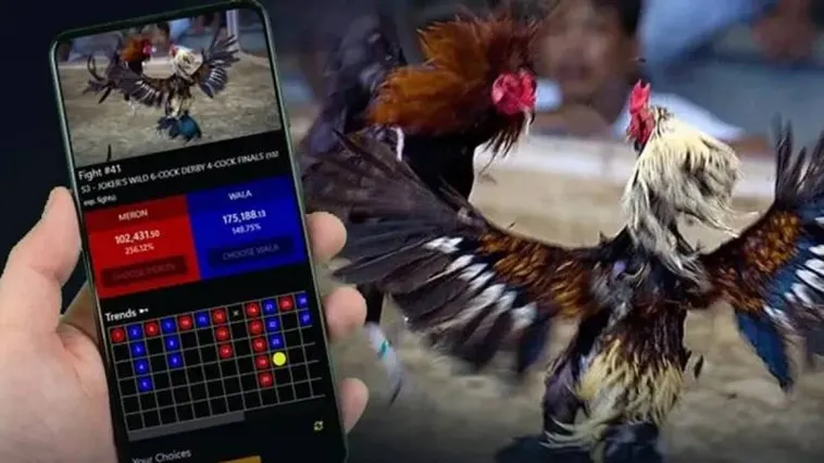 Khám Phá Sảnh Đá Gà GD365 Trực Tiếp Cược Ngay Thắng Lớn